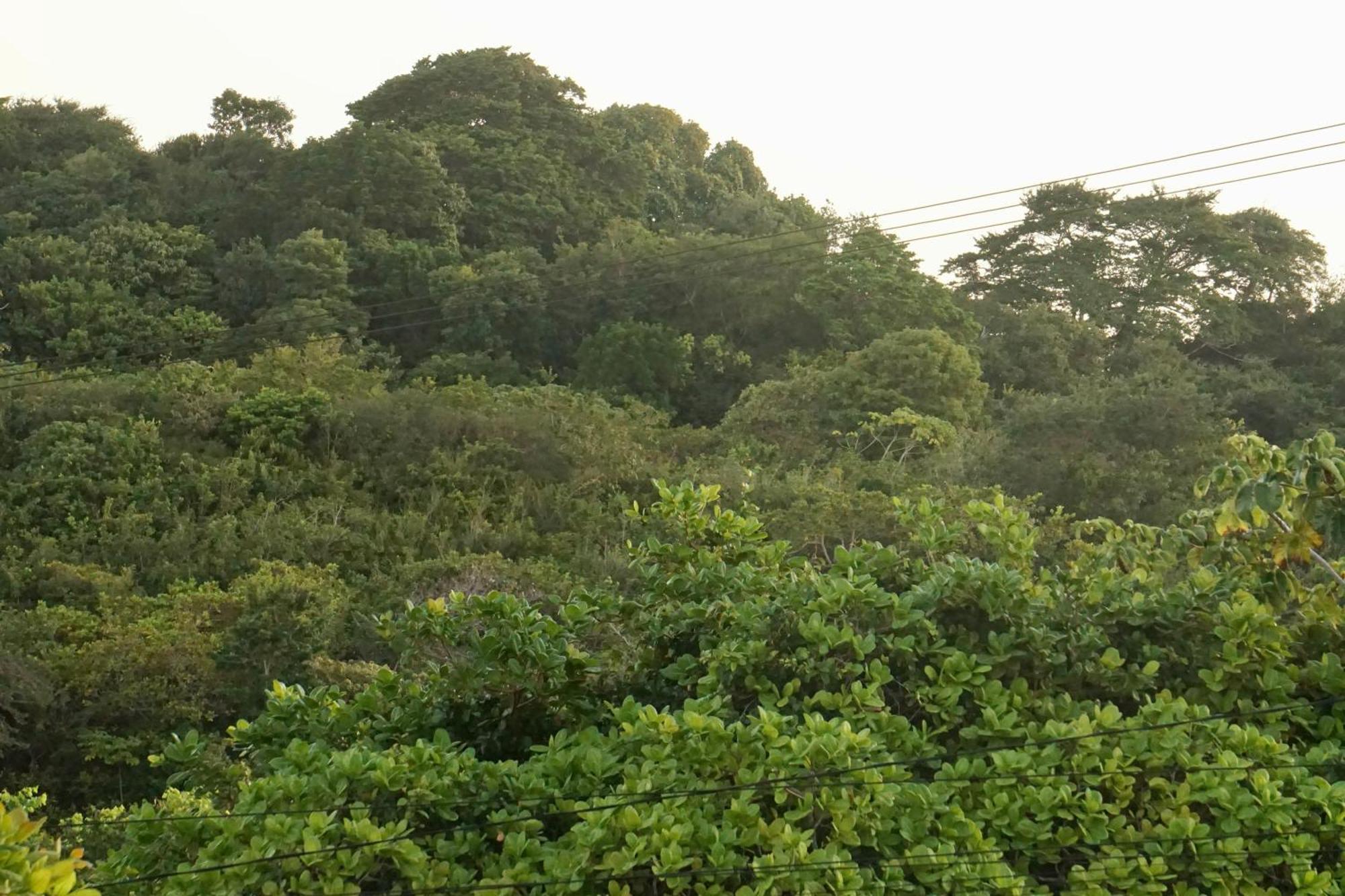Chales Tucano Praia Da Pipa - Natureza, Conforto, Tranquilidade Praia de Pipa Екстер'єр фото
